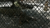 P1000205.JPG