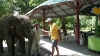 P1000216.JPG
