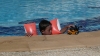 P1000252.JPG