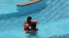 P1000280.JPG