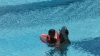 P1000285.JPG