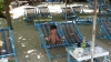 P1000310.JPG