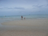 P1000368.JPG