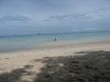 P1000389.JPG