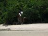 P1000419.JPG