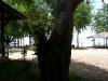 P1000434.JPG