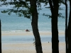 P1000436.JPG