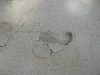 P1000478.JPG